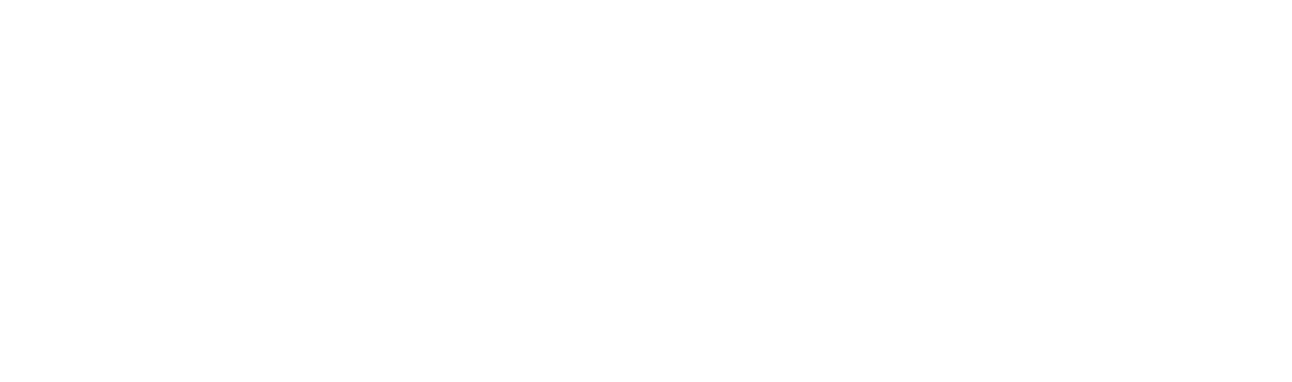 tersen-logo-vit